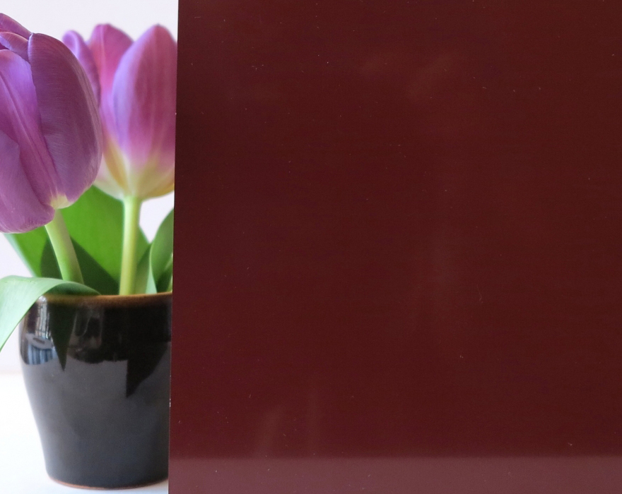 DS3004 Bordo krāsa